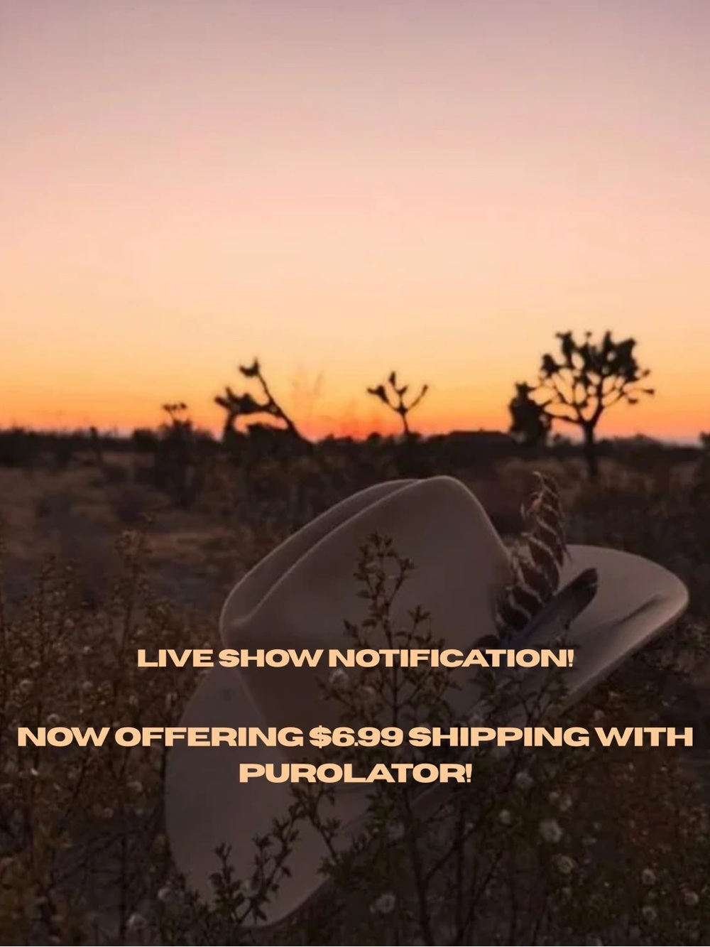 Like this post to be notified when I go live!